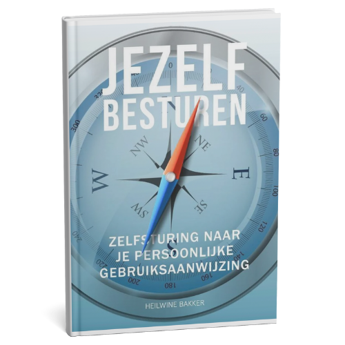 Boek Jezelf Besturen door Heilwine Bakker